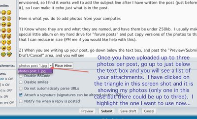 photos post 5.jpg