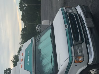 My 1999 and his 2000. It has gray stripes.
