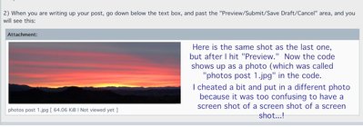photos post 7.jpg