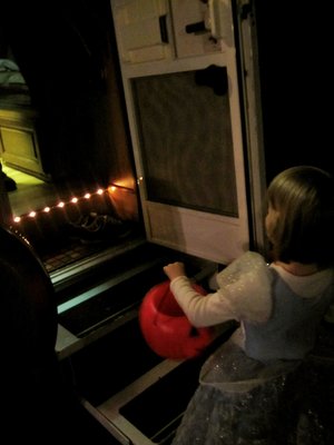 back door lights.jpg