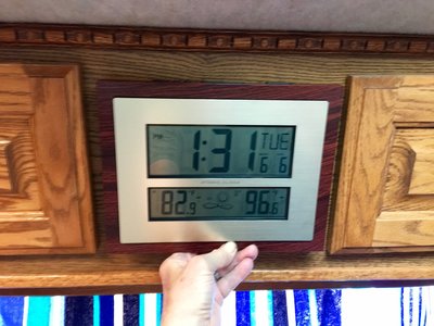 IMG_0179.jpg