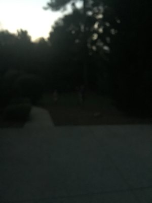 Bad pictures with cellphones