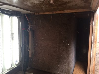 Underneath the old fridge support panel.JPG