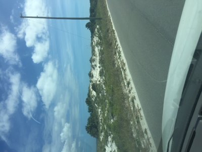 White sugar sand dunes all over the Preserve.