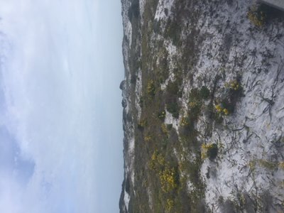 Dunes
