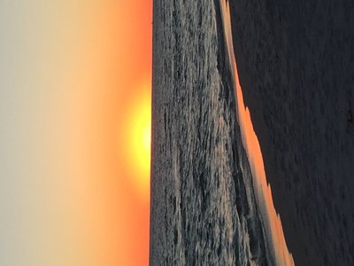 D3C44C82-2679-4E27-887D-7644EB4AEFB6.jpeg