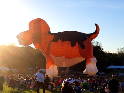20171020_Chinook BalloonFest NC Big Pup.jpg