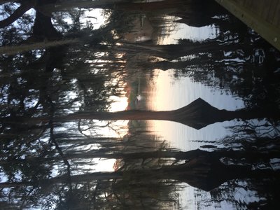 4A46DB00-408F-4E48-ACD3-02113F0A226B.jpeg
