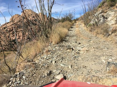 No country for old Chinooks