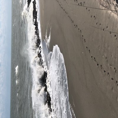 Coral Cove