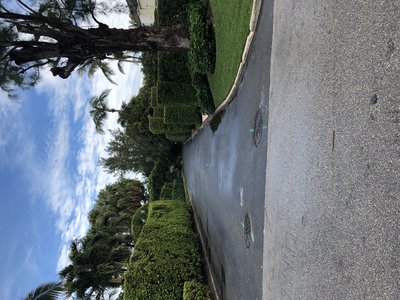 All green in January