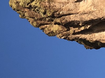 Spot the eagle