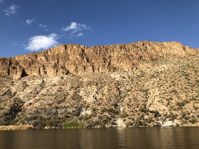 D4A22274-0005-4A4C-9F68-A01E65C5DEDC.jpeg