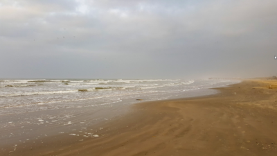 Looking back from the jetty toward the main entrance to the park