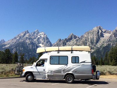 Clean Turtle 1.JPG