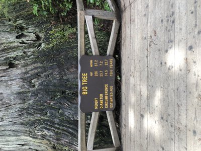 90694B8B-ED01-407F-B741-248C7DE183C0.jpeg