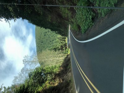 3FC2409C-ED08-4409-8282-30D3411E11D8.jpeg