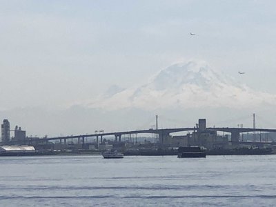 939A53D4-8150-43DC-B4F9-652A9362C064.jpeg