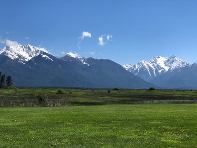 E22CA61E-B7D7-4716-B1E5-8A88F26C13CF.jpeg