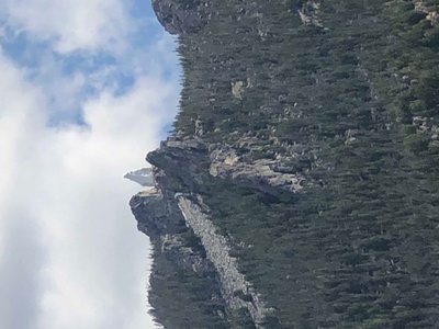 939DC00C-CA01-4010-8A3A-505368C45FCC.jpeg