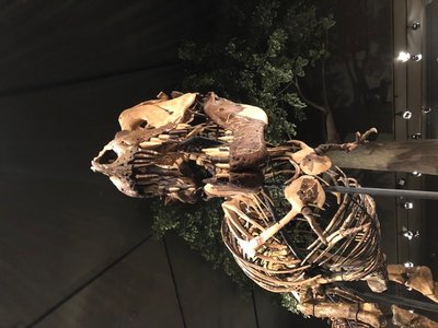 718AD346-FF39-4AD6-B3AE-6779F7882006.jpeg