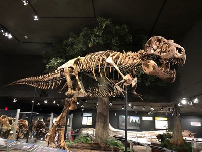 D502D245-C21F-48C8-A5E5-E50CE7DD20D4.jpeg