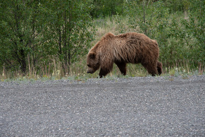 DSC_0511.jpg