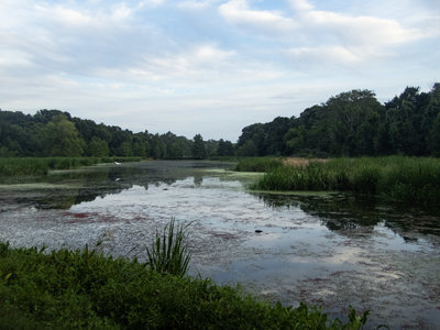 P7040845.jpg