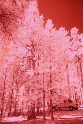 Chinook_NorthRim_IR.jpg