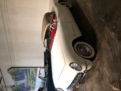 Vette