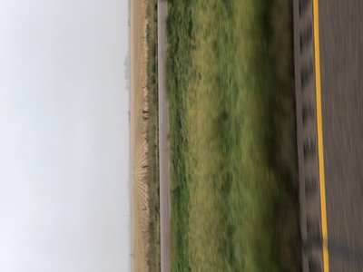 189041AF-92E2-4E02-93B5-823FE9469B18.jpeg