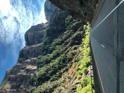 Looks like Zion but with trees