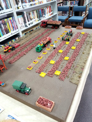 Yam Farming.jpg