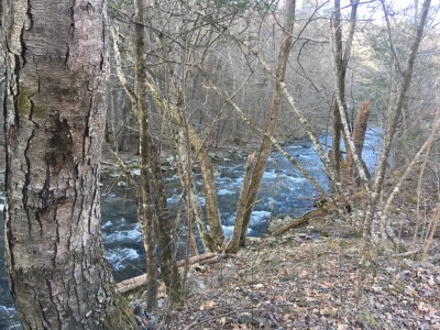 thumb_IMG_6618_1024.jpg