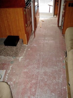 Floor removed.jpg