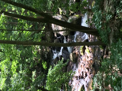 IMG_7862.JPG