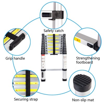 telescoping ladder.jpg