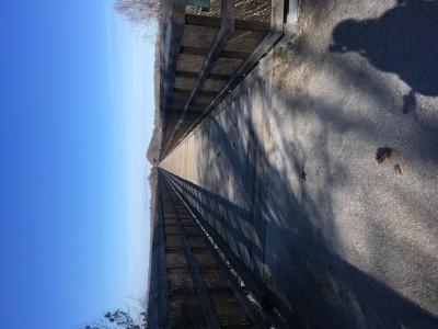 IMG_8500.JPG