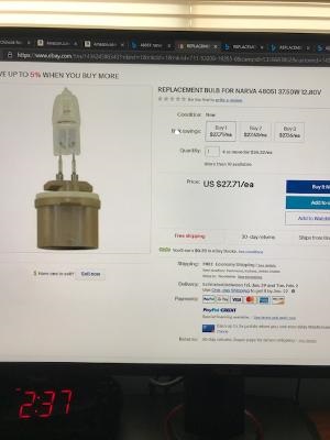 bulb 2 jpeg.jpg