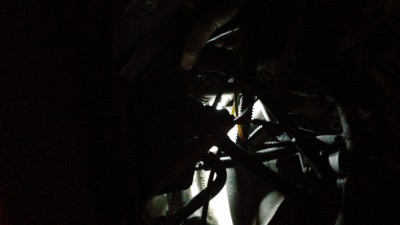 IMG_20211101_201326.jpg