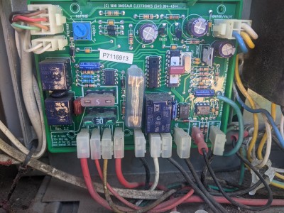DinoBoard (1).jpg